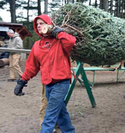 Christmas Tree People, Growing Perfect Holiday Conifer takes Tender Loving Care 12 Months of the Year